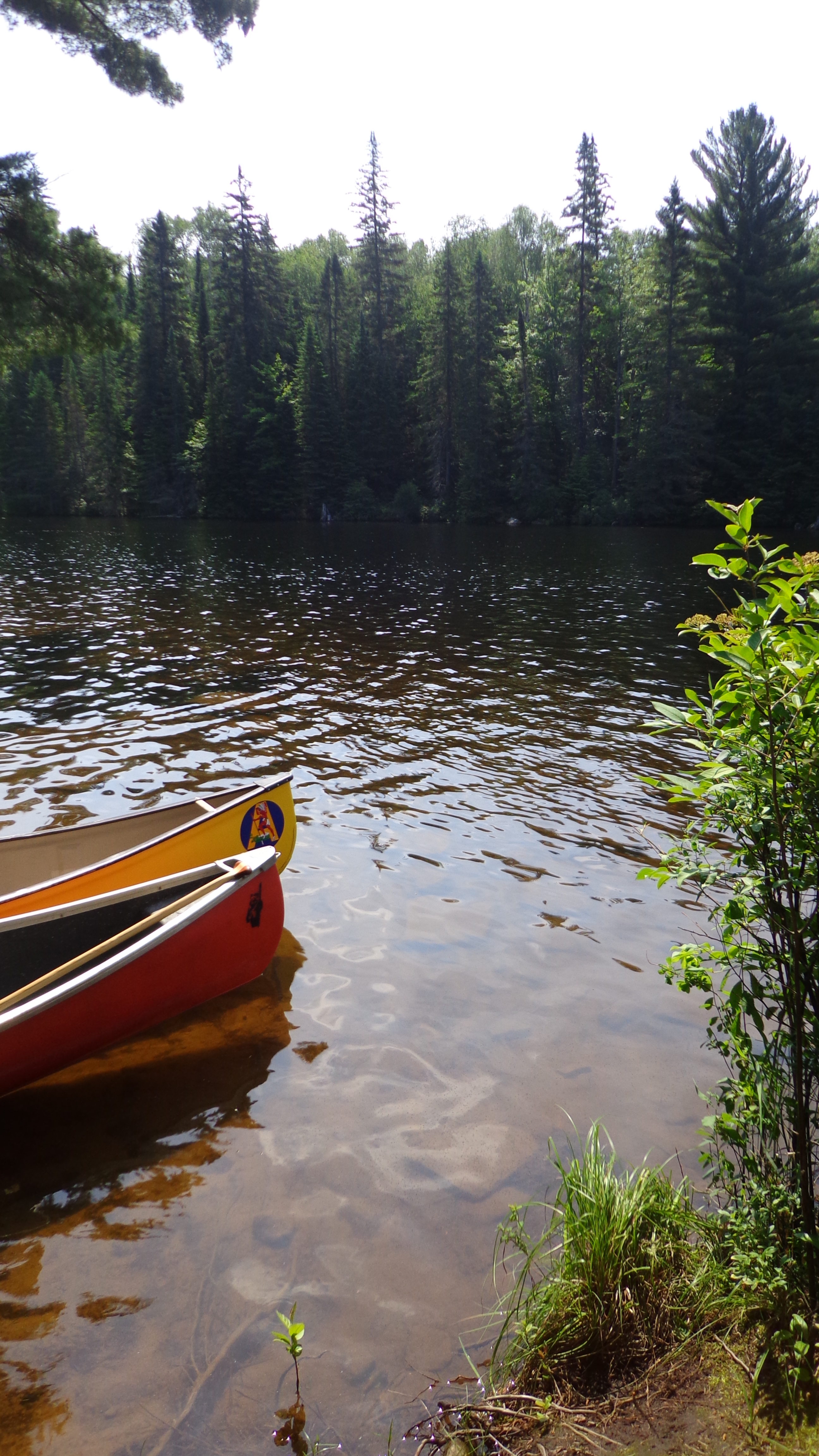 Trip Report: Canoe Lake to Burnt Island Lake IanTendy ...